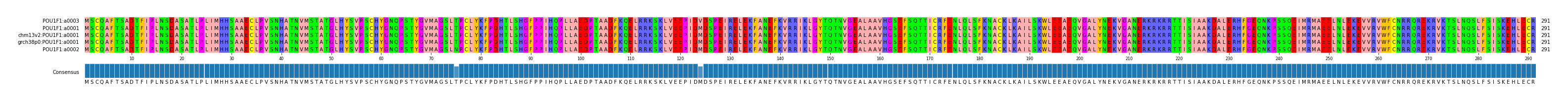Multiple Alignments (by translate haplotype similarity)