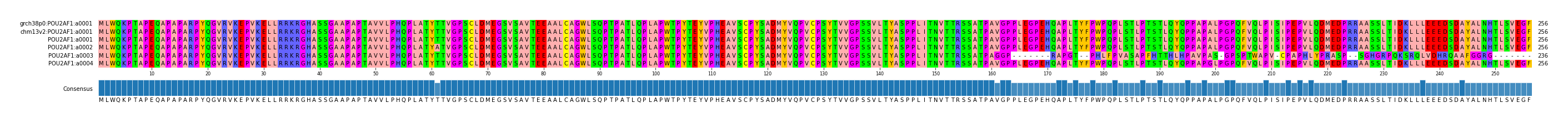 Multiple Alignments (by translate haplotype frequency)