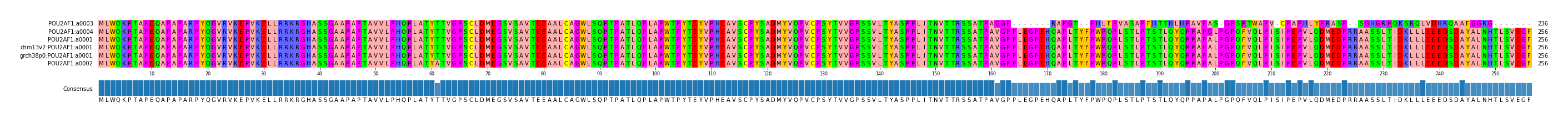 Multiple Alignments (by translate haplotype similarity)