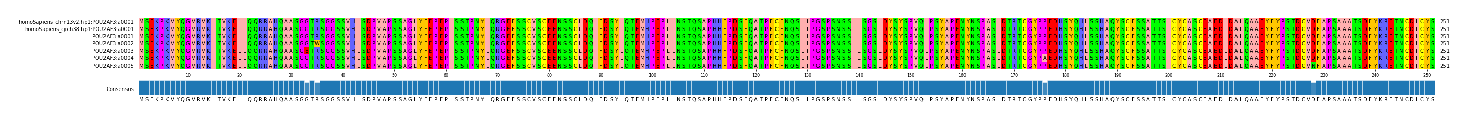 Multiple Alignments (by translate haplotype frequency)