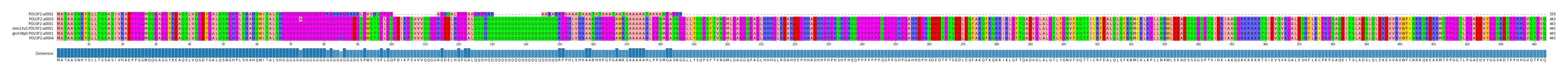 Multiple Alignments (by translate haplotype similarity)