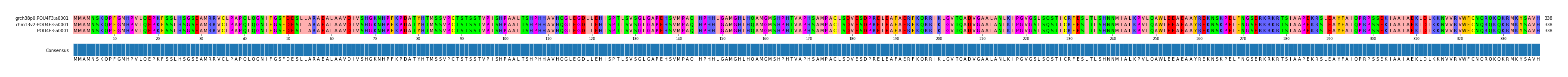 Multiple Alignments (by translate haplotype similarity)