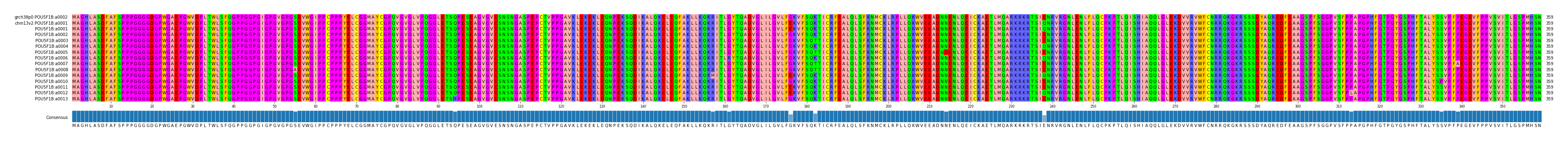 Multiple Alignments (by translate haplotype frequency)