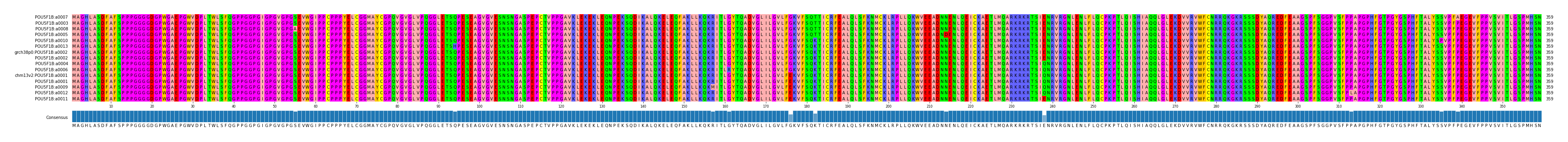 Multiple Alignments (by translate haplotype similarity)