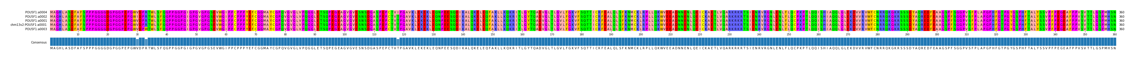 Multiple Alignments (by translate haplotype similarity)