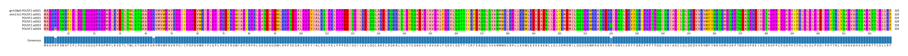 Multiple Alignments (by translate haplotype frequency)