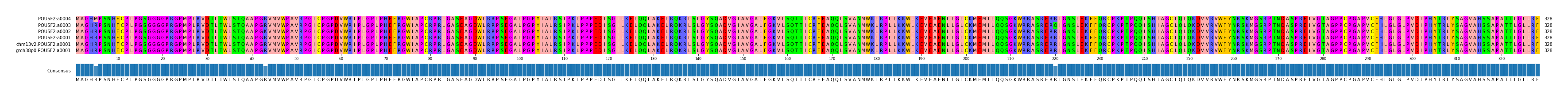 Multiple Alignments (by translate haplotype similarity)
