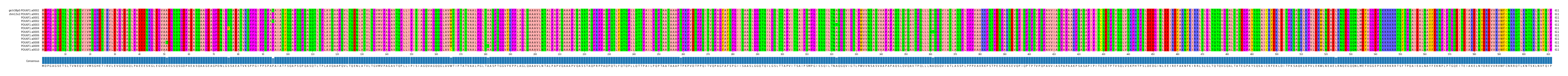 Multiple Alignments (by translate haplotype frequency)