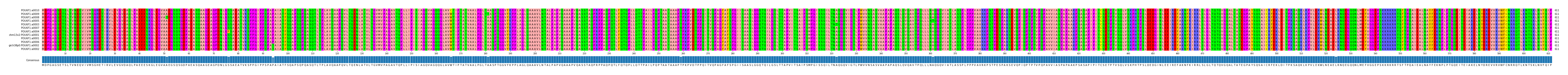 Multiple Alignments (by translate haplotype similarity)