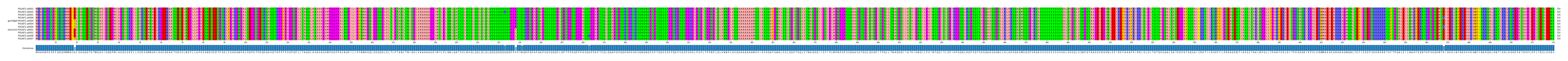 Multiple Alignments (by translate haplotype similarity)