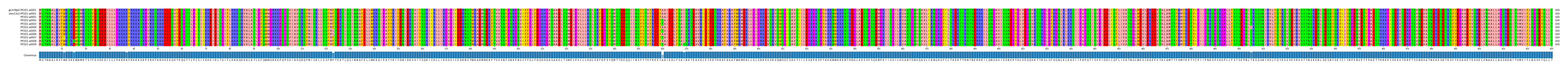 Multiple Alignments (by translate haplotype frequency)