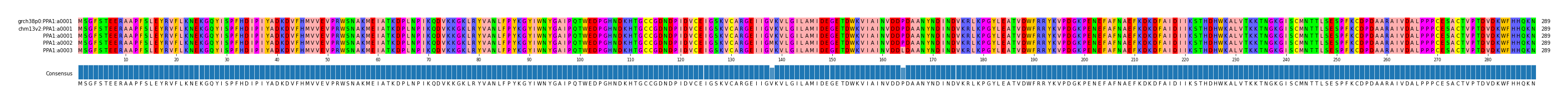 Multiple Alignments (by translate haplotype frequency)