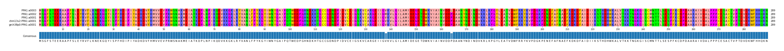Multiple Alignments (by translate haplotype similarity)
