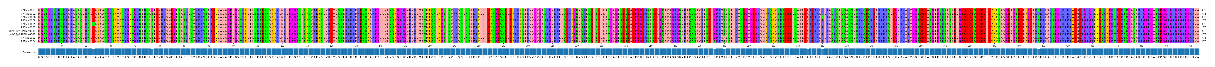 Multiple Alignments (by translate haplotype similarity)