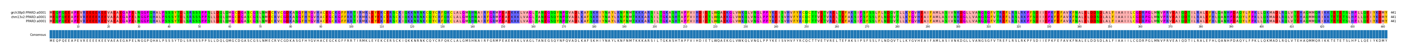 Multiple Alignments (by translate haplotype frequency)