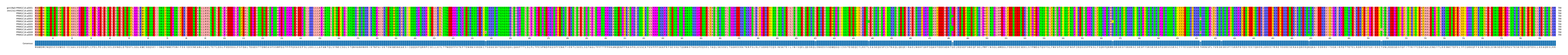 Multiple Alignments (by translate haplotype frequency)