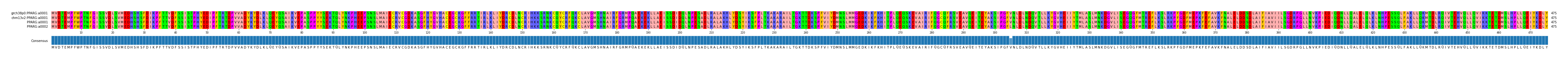 Multiple Alignments (by translate haplotype similarity)