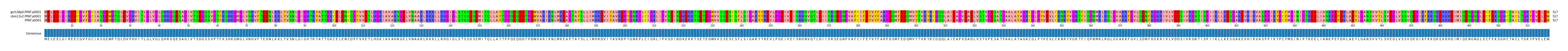 Multiple Alignments (by translate haplotype similarity)