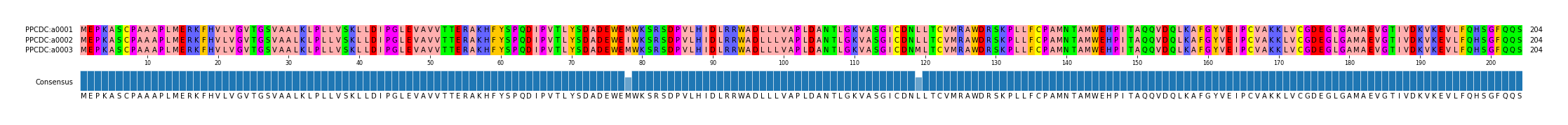 Multiple Alignments (by translate haplotype frequency)