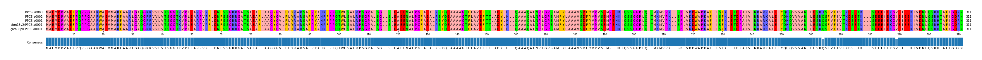 Multiple Alignments (by translate haplotype similarity)