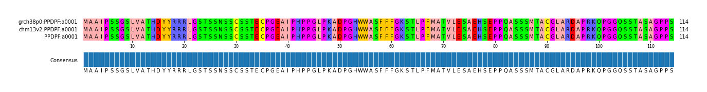 Multiple Alignments (by translate haplotype similarity)