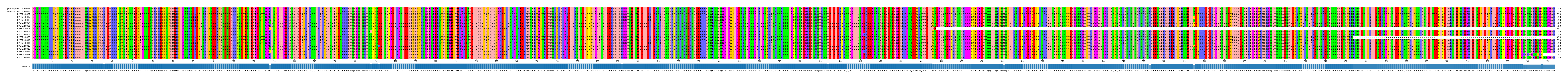 Multiple Alignments (by translate haplotype frequency)
