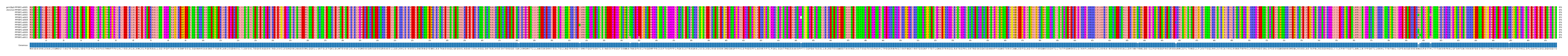 Multiple Alignments (by translate haplotype frequency)
