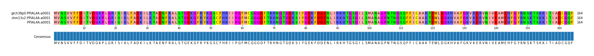 Multiple Alignments (by translate haplotype similarity)