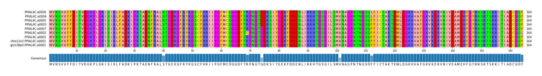 Multiple Alignments (by translate haplotype similarity)