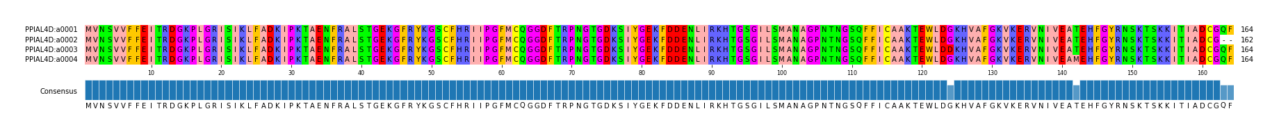 Multiple Alignments (by translate haplotype frequency)