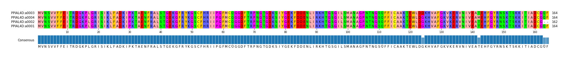 Multiple Alignments (by translate haplotype similarity)