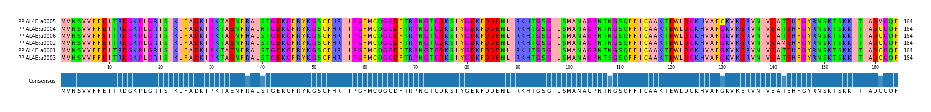 Multiple Alignments (by translate haplotype similarity)