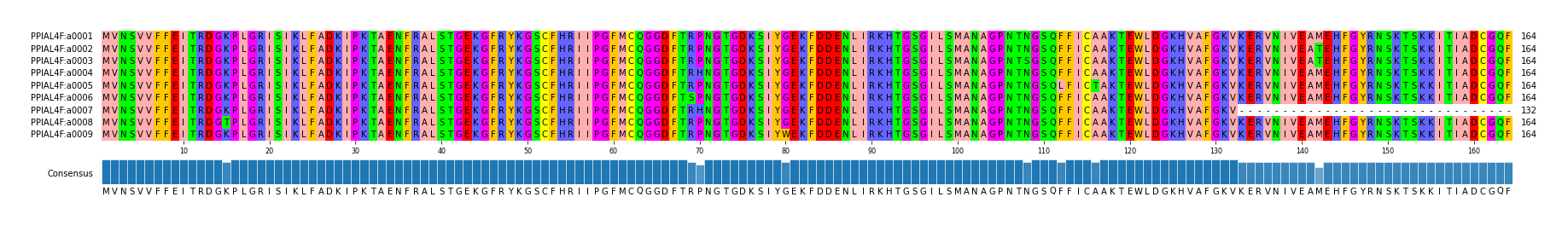 Multiple Alignments (by translate haplotype frequency)