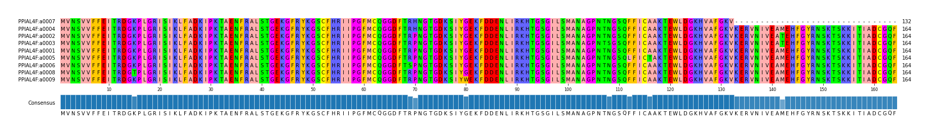 Multiple Alignments (by translate haplotype similarity)