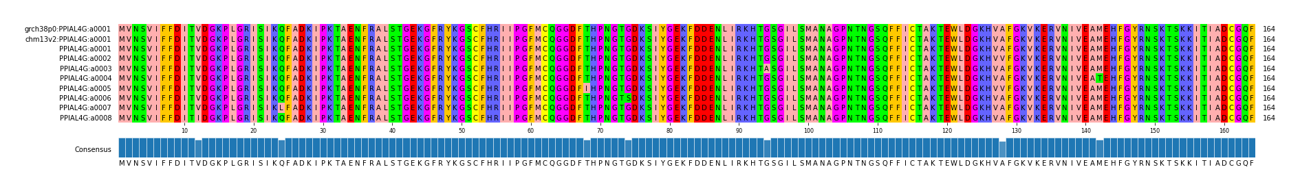 Multiple Alignments (by translate haplotype frequency)