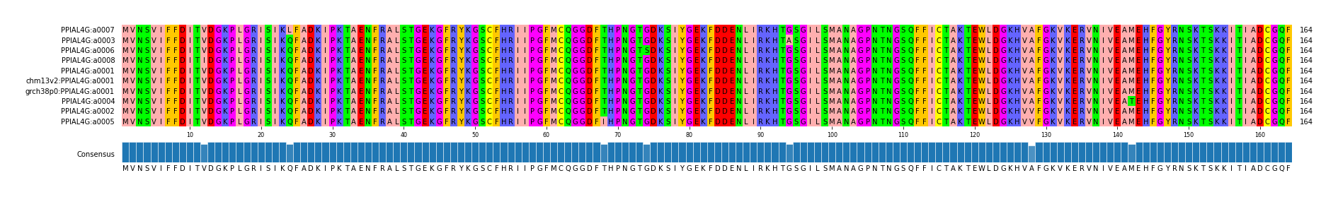 Multiple Alignments (by translate haplotype similarity)