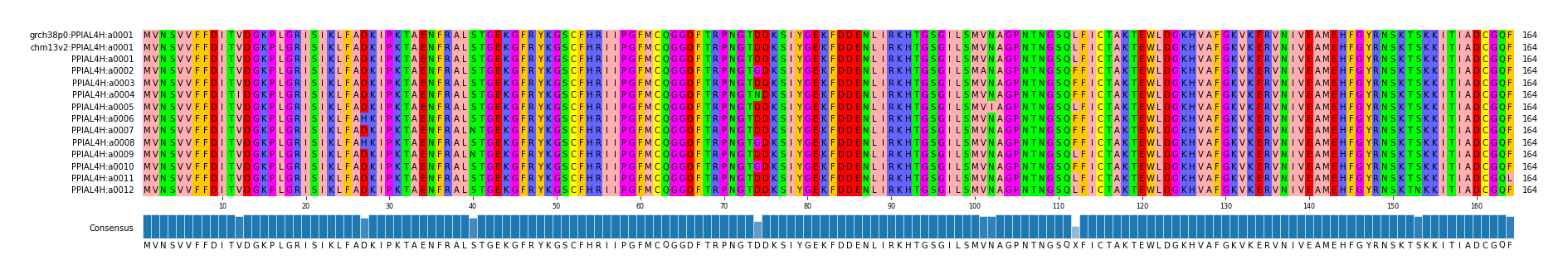 Multiple Alignments (by translate haplotype frequency)