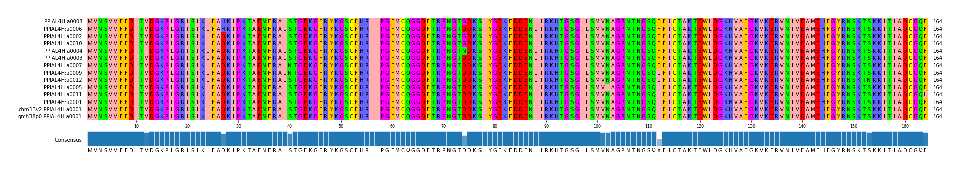 Multiple Alignments (by translate haplotype similarity)