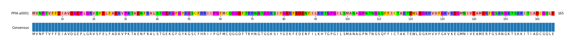 Multiple Alignments (by translate haplotype similarity)