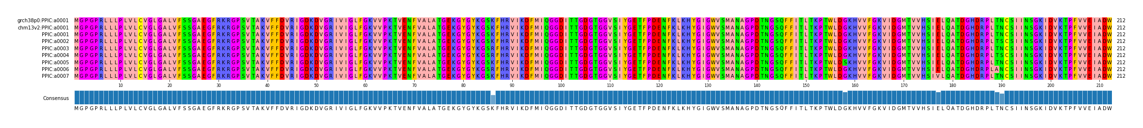 Multiple Alignments (by translate haplotype frequency)