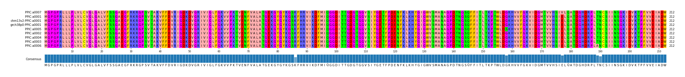 Multiple Alignments (by translate haplotype similarity)