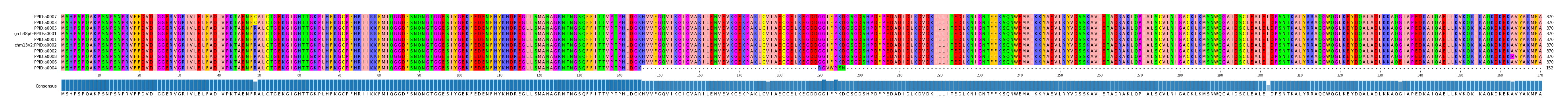 Multiple Alignments (by translate haplotype similarity)