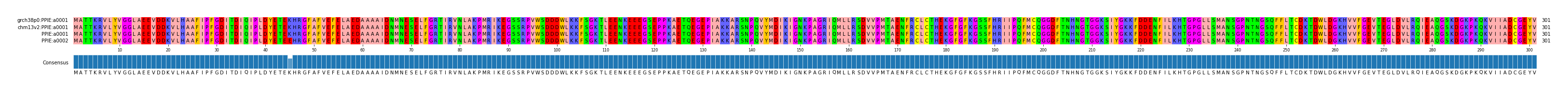 Multiple Alignments (by translate haplotype similarity)