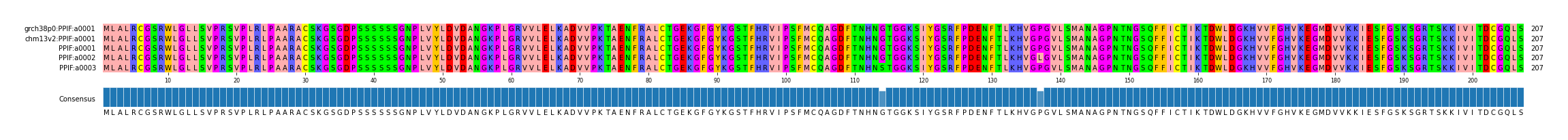 Multiple Alignments (by translate haplotype frequency)