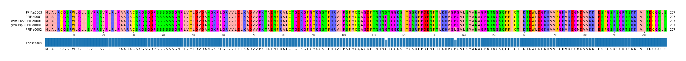 Multiple Alignments (by translate haplotype similarity)