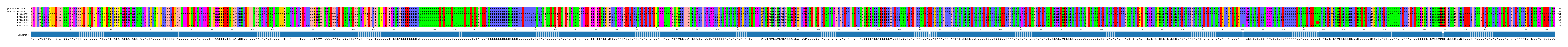 Multiple Alignments (by translate haplotype frequency)
