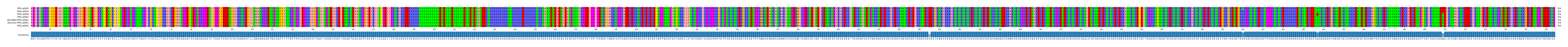 Multiple Alignments (by translate haplotype similarity)