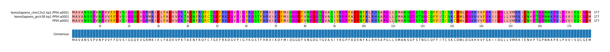 Multiple Alignments (by translate haplotype similarity)