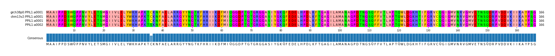 Multiple Alignments (by translate haplotype similarity)