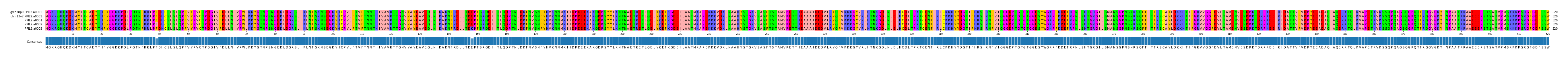 Multiple Alignments (by translate haplotype frequency)